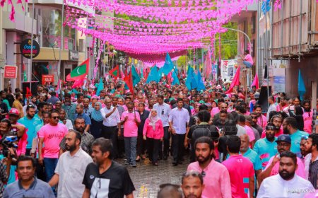 ޕީޕީއެމް އުވާލަން ސެނެޓުން ފާސްކޮށްފި