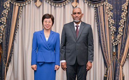 ޗައިނާ ސަފީރު ރައީސްގެ އަރިހަށް ވަދާޢީ ޒިޔާރަތް ކުރައްވައިފި.