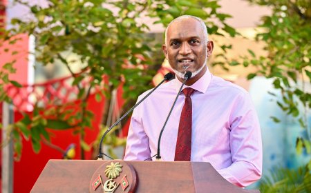 ޒިންމާދާރު ދަރިންތަކެއް ބިނާ ކުރުމަށް ޤައުމީ ވިސްނުމެއްގައި  މަސައްކަތް ކުރުމަށް ރައީސުލްޖުމްހޫރިއްޔާ ގޮވާލައްވައިފި