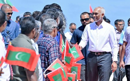 ކައުންސިލްތަކުން ބޭނުންނަމަ އައިސްޕްލާންޓްތައް ހިންގަން ހަވާލުކުރާނީ ކައުންސިލްތަކާ- ރައީސް