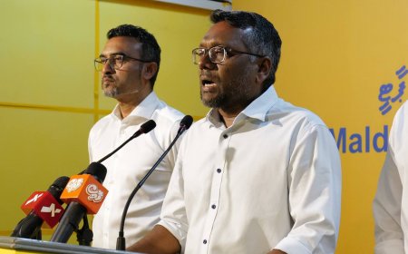 ފައްޔާޒު ދެއްކެވި ވާހަކަ ތަހުގީގުކުރަން ގޮވާލާ ކުއްލި މައްސަލައެއް ހުށަހަޅައިފި