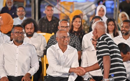 ބަދަލު ދިނުމުގެ މައްސަލައިގަ ކުރީގެ ރައީސް ޞާލިހުގެ މައްޗަށް ދައުވާކޮށްދޭން މަޖިލިހުގެ މާލިއްޔަތު ކޮމިޓީން އެދެނީ