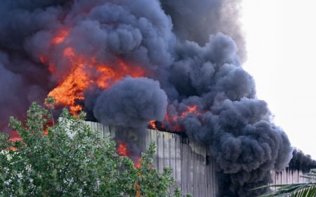 އަލިފާނުގެ ހާދިސާއާ ގުޅޭ ތަހުގީގަށް މައުލޫމާތު ހިއްސާކޮށްދޭން ފުލުހުން އެދިއްޖެ