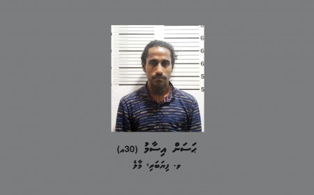 ސައިކަލްގައި ދުއްވާފަ ދިޔަ އަންހެނެއްގެ ކަރުގައި އޮތް ފަށެއް ފޭރުނު މީހަކު ހައްޔަރުކޮށްފި