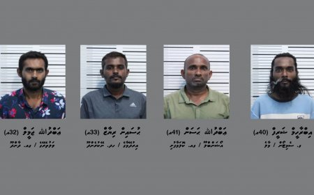 ހިޔާ ފްލެޓަކުން މަސްތުވާތަކެއްޗާއި ގިނަ އަދަދެއްގެ ފައިސާއާއެކު 4 މީހުން ހައްޔަރުކޮށްފި