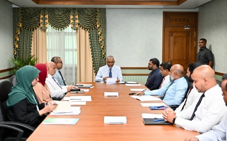 ކާރިސާތަކުން ރައްކާތެރިވުމުގެ ހަ އަހަރުގެ ސްޓްރެޓަޖީ ފާސްކޮށްފި