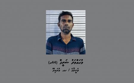 ވޭމަންޑޫ އަށް މަސްތުވާތަކެތި އެތެރެކުރަން އުޅުނު މުރައިދޫ މީހަކު ހައްޔަރުކޮށްފި