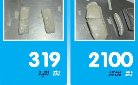 ރާއްޖެ އެތެރެކުރަން އުޅުނު 2.4 ކިލޯގެ މަސްތުވާތަކެތި އަތުލައިގެންފި