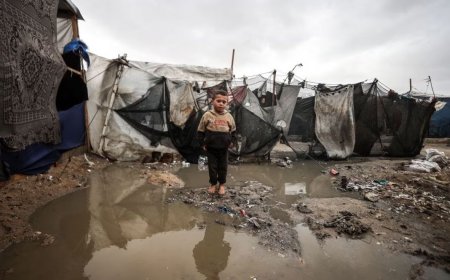 2024 ގައި ޣައްޒާ: ހަނގުރާމަ އާއިއެކު ވޭނާއި ކެކުޅުމުގެ އަހަރެއް