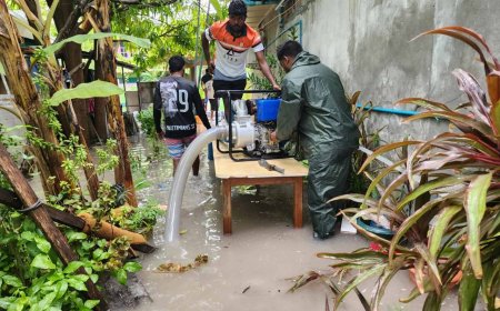 36 ގޭބީސީއެއްގެ 266 މީހުންން ވަގުތީ ހިޔާވަހިކަމަށް!