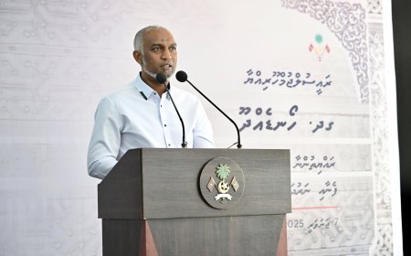 ރާއްޖޭގެ ކުދި އަދި މެދު ފަންތީގެ ކުންފުނިތަކަށް މިހަފްތާގައި 500 މިލިއަނަށްވުރެ ގިނަ ރުފިޔާ ދޫކުރާނެ- ރައީސް
