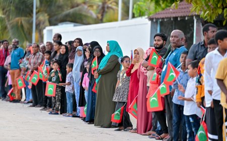 އަންހެންގެ ކޮމިޓީތަކަށް ދޭ އެލަވަންސް މުސާރައަށް ބަދަލުކުރުމުގެ އިސްލާހު ކުރިއަށް އޮތް ދައުރުގެ ފުރަތަމަ ހަފްތާގައި ހުށަހަޅަނީ