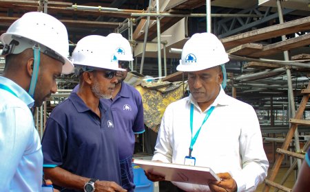 އެމްޓިސީސީގެ މަޝްރޫއުތަކުގެ އަދާހަމަ މިހާރު ވަގުތުން ބަލާލެވޭ!