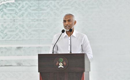 33 ގޮނޑި ލިބުމަކީ ބޮޑު ކާމިޔާބީއެއް- ރައީސް