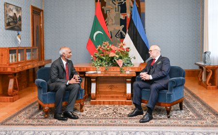 ރައީސުލްޖުމްހޫރިއްޔާ ޑޮކްޓަރ މުޙައްމަދު މުޢިއްޒު އެސްޓޯނިއާގެ ރައީސް ޑޮކްޓަރ އަލާރް ކަރިސްއާ ބައްދަލުކުރައްވައިފި