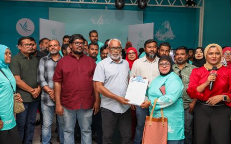 ޞައްހަނޫން ފޯމެއް ހުށަހަޅައިގެން ޕީއެންސީއަށް ވައްދާފައިވާނަމަ އެޕާޓީއަށް އަންގައިދިނުމަށް އެދިއްޖެ