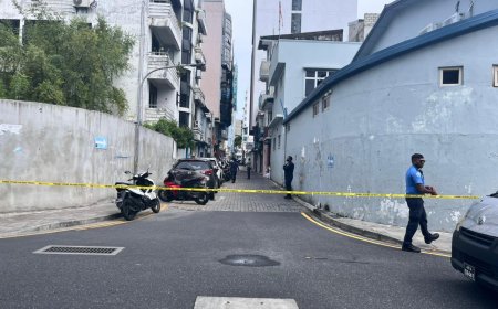 ކުށްކުރާ ގްރޫޕްތަކުން ނުހައްގު މުއްސަނދިކަމުން ހޯދާ މުދާ ދައުލަތަށް ނެގުމުގެ މަސައްކަތް ފުލުހުން ކުރަނީ