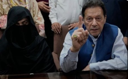 ޕާކިސްތާނުގެ ކުރީގެ ބޮޑުވަޒީރު އިމްރާން ޚާން އާއި އަނބިކަނބަލުންގެ ކަރަޕްޝަންއާ ގުޅޭ މައްސަލައްގައި ޖަލަށްލާން ހުކުމްކޮށްފި