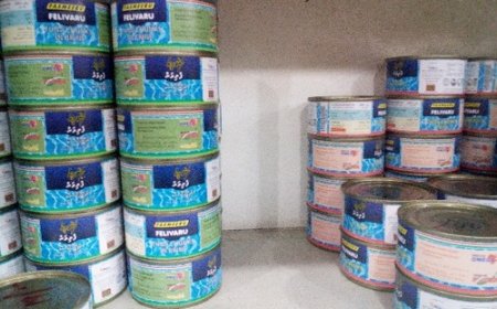 ރޯދަމަހު ގޭބީސީ ތަކަށް ބަހާ މަސްދަޅުން 40 ގްރާމް އުންޏެއް ނުވާނެ- މިފްކޯ