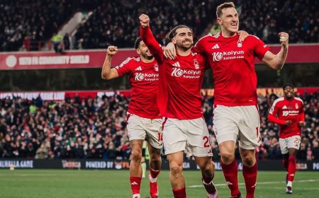 ފޮރެސްޓަށް ހަނި މޮޅެއް, ޔުނައިޓަޑް އާއި ޓޮޓްނަމް ބަލި