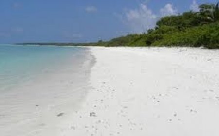 ނޮޅިވަރަމްފަރުގައި ފަތުރުވެރިއަކަށް ޖިންސީ ގޯނާކުރި ކަމުގެ މައްސަލައިގައި މީހަކު ހައްޔަރުކޮށްފި