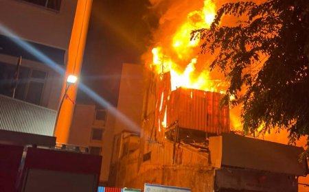 ފުރުޓް ޓްރީ އެޕަލް ފިހާރައިގެ ގުދަން އަނދާ ހުލިވެއްޖެ