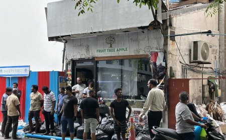 ފްރުޓް ޓްރީ ފިހާރައިގެ ގުދަނުގައި އަލިފާން ރޯވި ހާދިސާއާ ގުޅިގެން 22 މީހަކަށް ވަގުތީ ހިޔާވަހިކަން ދީފި