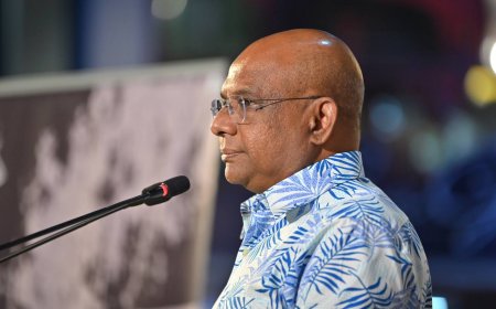 ސަރުކާރު ވައްޓާލާނެ ކަމަށް ކުރީގެ ފޮރިންގ މިނިސްޓަރ ޝާހިދު ވިދާޅުވެއްޖެ