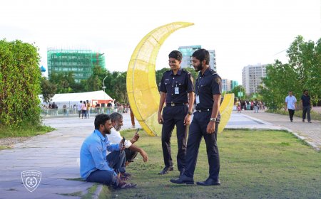 ބިދޭސީން ޢާއްމުކޮށް އެއްވާ ސަރަހައްދުތައް ދާއިމީކޮށް މޮނިޓަރ ކުރަނީ