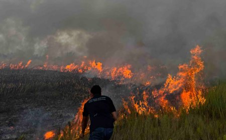 ހިމާޔަތްކޮށްފައިވާ އައްޑޫ ސިޓީގެ ޗަސްބިމުގައި ރޯވެއްޖެ