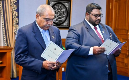 އީސީގެ މެމްބަރު ކަމަށް ޞަލާހު އާއި ޒާހިދު އައްޔަން ކުރައްވައިފި