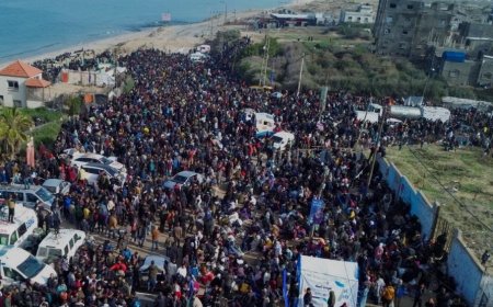 ޓްރަޕްމްގެ ޕްލޭނަކީ 'ރަތްރޮނގު ހުރަސްކުރުން', ޣައްޒާގެ ރައްޔިތުން އެބިމުން ނުފައިބާނެ