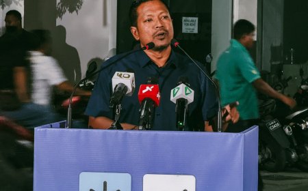 ޑިމޮކްރެޓްސްގެ ރައީސް އަކަށް އިންތި