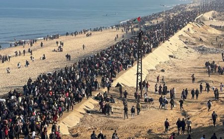 ލޯންގް ވޯކް ހޯމް: އުތުރު ޣައްޒާއަށް ދިއުމަށް ފަލަޞްޠީނުގެ ރައްޔިތުން ފައިމަގުގައި