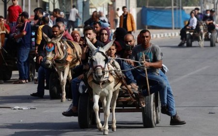 ހަމަލާތައް މަދުކަނޑާލާފައިވަނިކޮށް އިޒްރާއިލްއިން ޣައްޒާގެ 5 އަހަރުގެ ކުޑަކުއްޖަކު ޝަހީދުކޮށްލައިފި