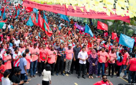 ޕީޕީއެމް ވެސް އުވާލައިފި