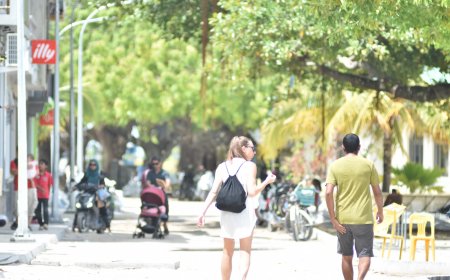 ދިވެހިންގެ އަޅާލުމާއި އޯގާތެރިކަން ފެނި ފަތުރުވެރިއަކު އިސްލާމްދީން ޤަބޫލުކޮށްފި