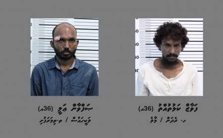 ބިދޭސީއެއްގެ އަތުން 33000 ރުފިޔާ ފޭރުނު ދެމީހަކު ހައްޔަރުކޮށްފި