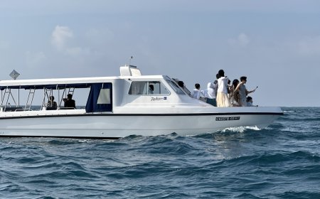 ސަންޕާ ސަރަހައްދަށް ފެހުރިހި ބަލަން ދެވޭނީ ބުރަފަތީގައި ގާޑް އަޅުވައިގެން ކަމަށް ކަނޑައަޅައިފި