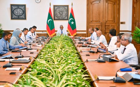 އައި.ސީ.ޓީގެ ދާއިރާއަށް އިންޤިލާބީ ބަދަލެއް ގެނައުމަށް މަސައްކަތްތަކެއް ކުރަން ނިންމައިފި