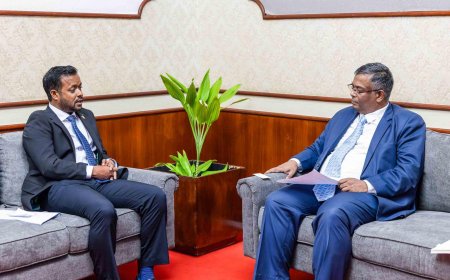 ތިލަމާލެ ބްރިޖްގެ މަސައްކަތް އަވަސް ކުރުމަށް މަޝްވަރާކޮށްފި