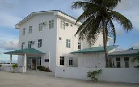 އިހުމާލުން ދެމައިން މަރުވި މައްސަލައިގެ ޖިނާއި ތަހުގީގެއް ފަށައިފި