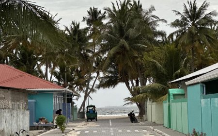 18 އަހަރުން ދަށުގެ ކުއްޖަކު  ކުލަ ހެދުމުގައި ހުރި ފުލުހަކަށް ހަމަލާ ދިން މައްސަލައެއް!