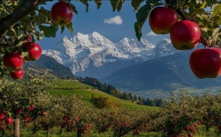 ސަރުކާރުގެ ތަރައްޤީގެ ބިޔަ މަޝްރޫއާއެކު ކަޝްމީރުގެ 'ދިރިއުޅުމުގެ ނާރު' ގެއްލިދާނެކަމުގެ ބިރު ހީވެފައި