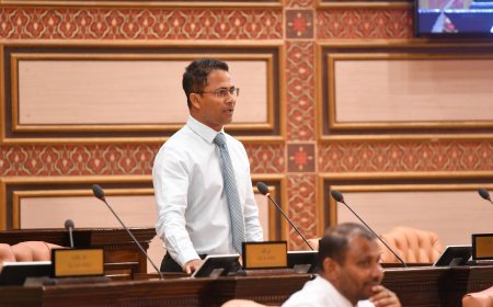 ގޭންގް ކުށްތައް ނުހުއްޓުވި މިހާގިނަ  ދުވަސްވީ ބައެއްގެ އިހުމާލުން- މެމްބަރު އިއްބެ