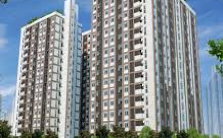 ސްޓެލްކޯ ފްލެޓްގެ 9 ވަނަ ފަންގިފިލާއިން ވެއްޓި ޒުވާނަކު މަރުވެއްޖެ