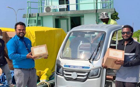 ރައީސްގެ ވައުދާ އެއްގޮތަށް މަސްދަޅުކޭސް ބަހަން ފަށައިފި