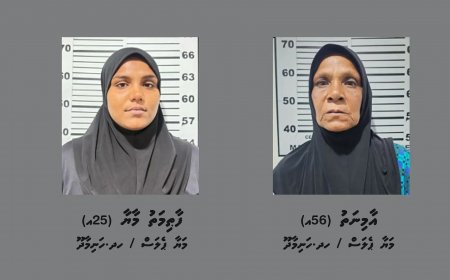 ހަނިމާދޫން މަންމައަކާއި އަންހެން ދަރިއަކު މަސްތުވާތަކެތީގެ މައްސަލައެއްގައި ހައްޔަރުކޮށްފި