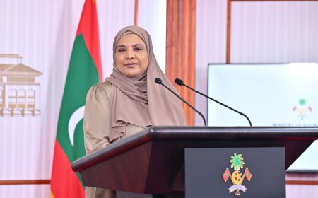އިޖުތިމާއީ ވުޒާރާއަށް މައްސަލައެއް ހުށަހެޅުމުން އެސްއެމްއެސް އެއް ލިބޭ ގޮތް ހަދަނީ