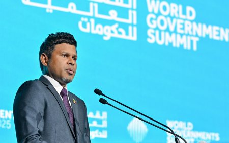 މޫސުމީ މައްސަލަތަކުގައި ހަމައެކަނި ވައުދުނުވެ, އަމަލީ ފިޔަވަޅު އަޅަން ރައީސުލްޖުމްހޫރިއްޔާގެ ނައިބު ގޮވާލައްވައިފި